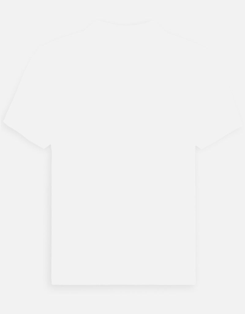 Back_3_c_4.jpg